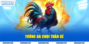 Tướng Gà Chọi Thần Kê